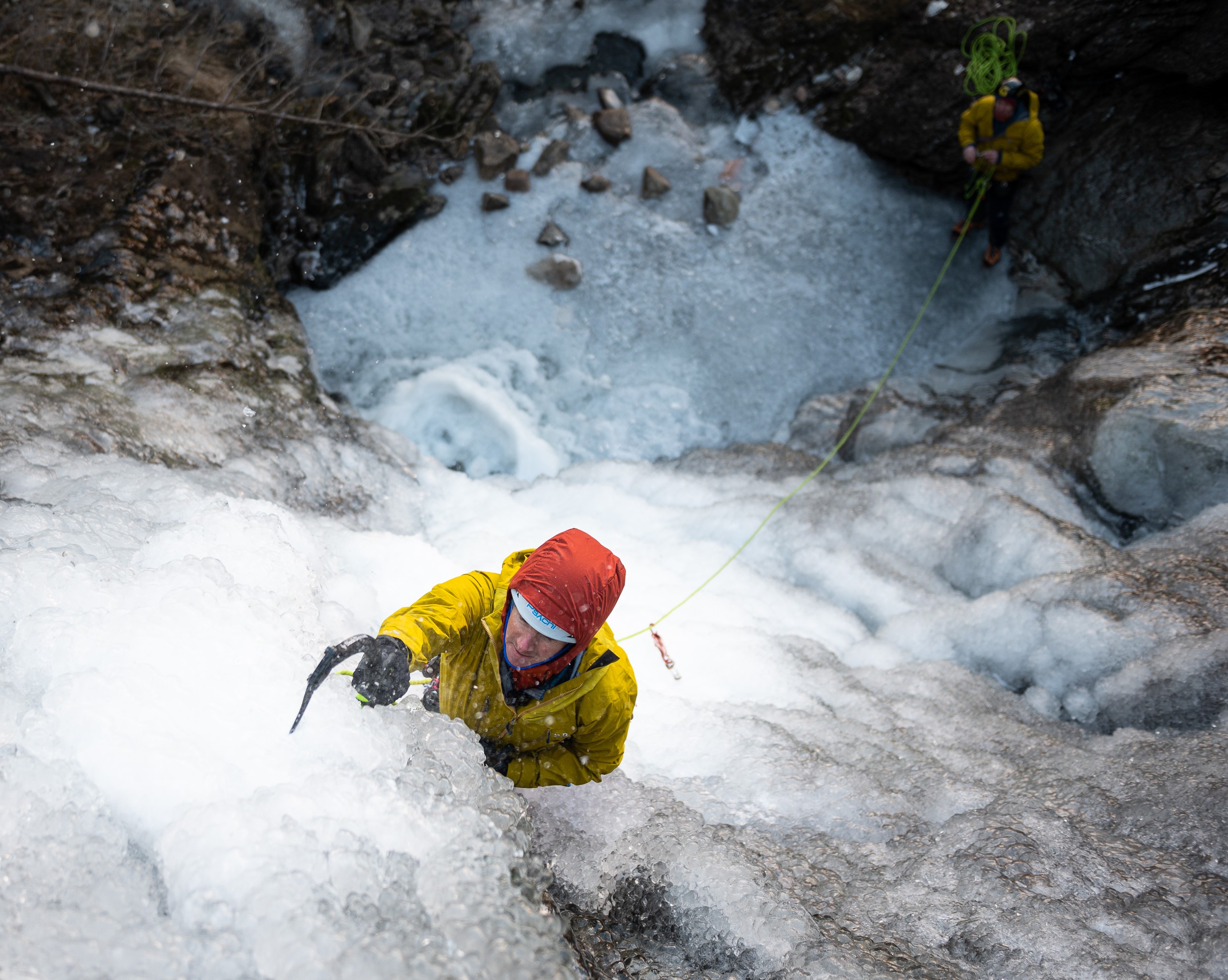 High contrast black and white